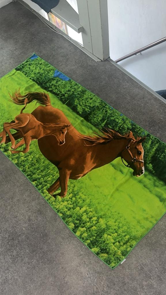 Paarden strandlaken, Ophalen of Verzenden, Zo goed als nieuw, 20 m² of meer