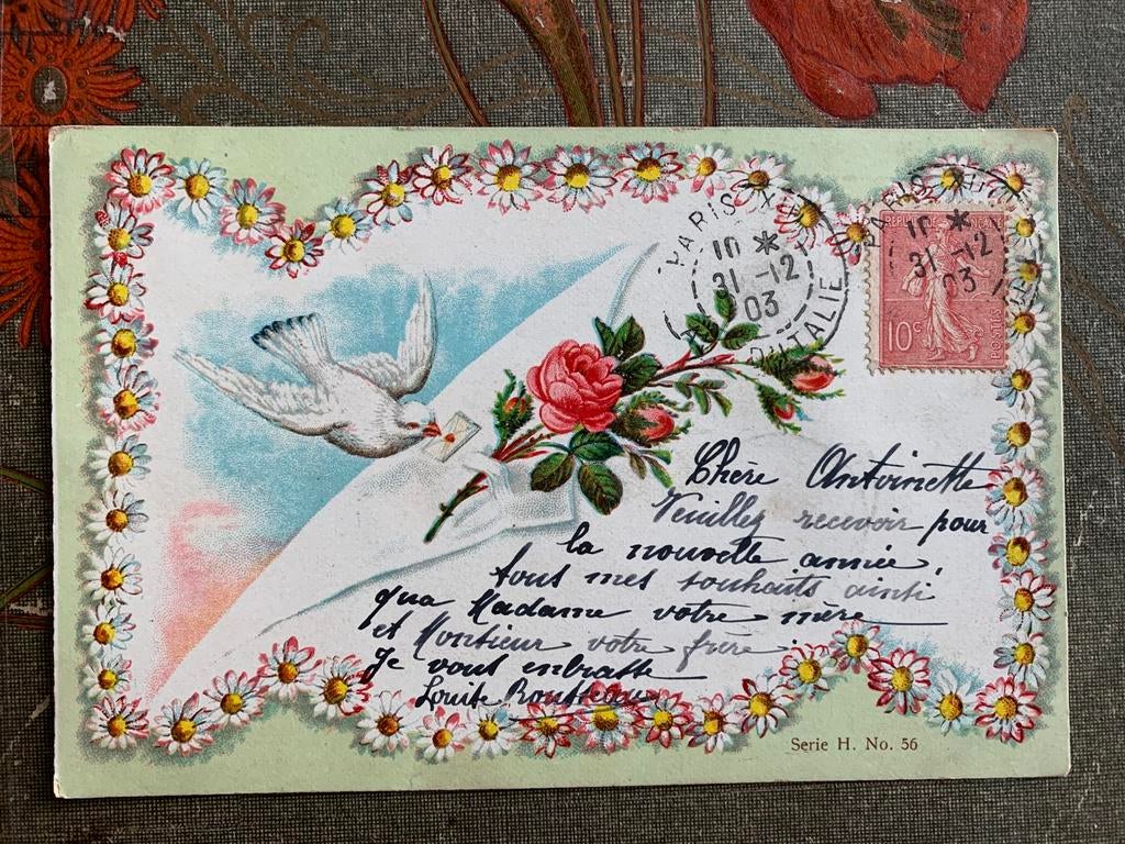 GERESERVEERD 1903 Madeliefjes, duif, brief, roos (RR), Ophalen of Verzenden, Voor 1920, Gelopen, Feest(dag)