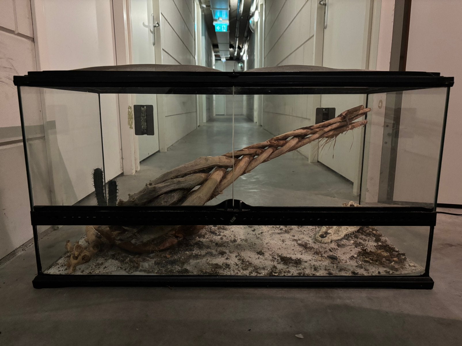 Exo terra pro terrarium zwart 90x45x45, Ophalen, Zo goed als nieuw