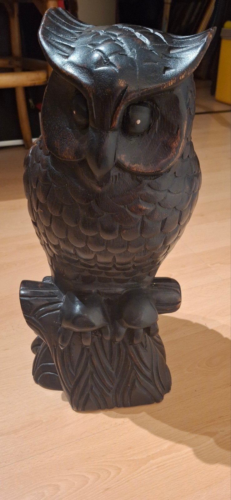 Black forrest Uil 43cm  ingelegde ogen, Ophalen of Verzenden
