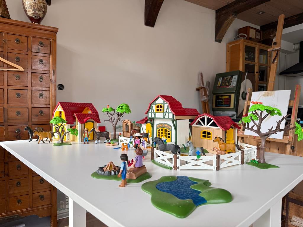 Playmobil Paardrijclub en Ponyclub - meerdere sets, Ophalen of Verzenden, Gebruikt, Complete set