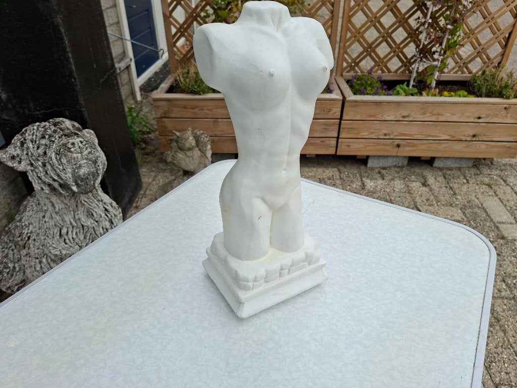 mooie gaaf grotere torso beeld van dame /vrouw, Ophalen of Verzenden, Zo goed als nieuw, Mens