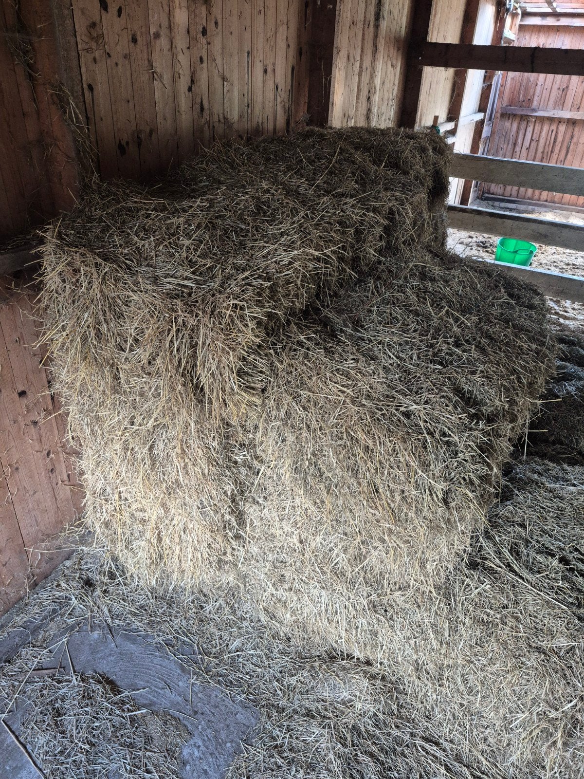 te koop hooi pakken hooi balen, Dieren en Toebehoren, Ophalen of Verzenden, Vee