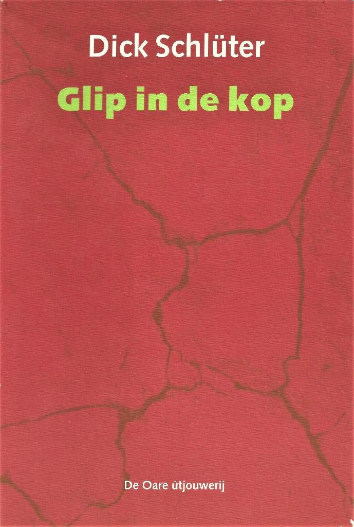 Dick Schlüter - Glip in de kop - Gedichten over Twente, Boeken, Streekboeken en Streekromans, Ophalen of Verzenden, Gelezen, Overijssel