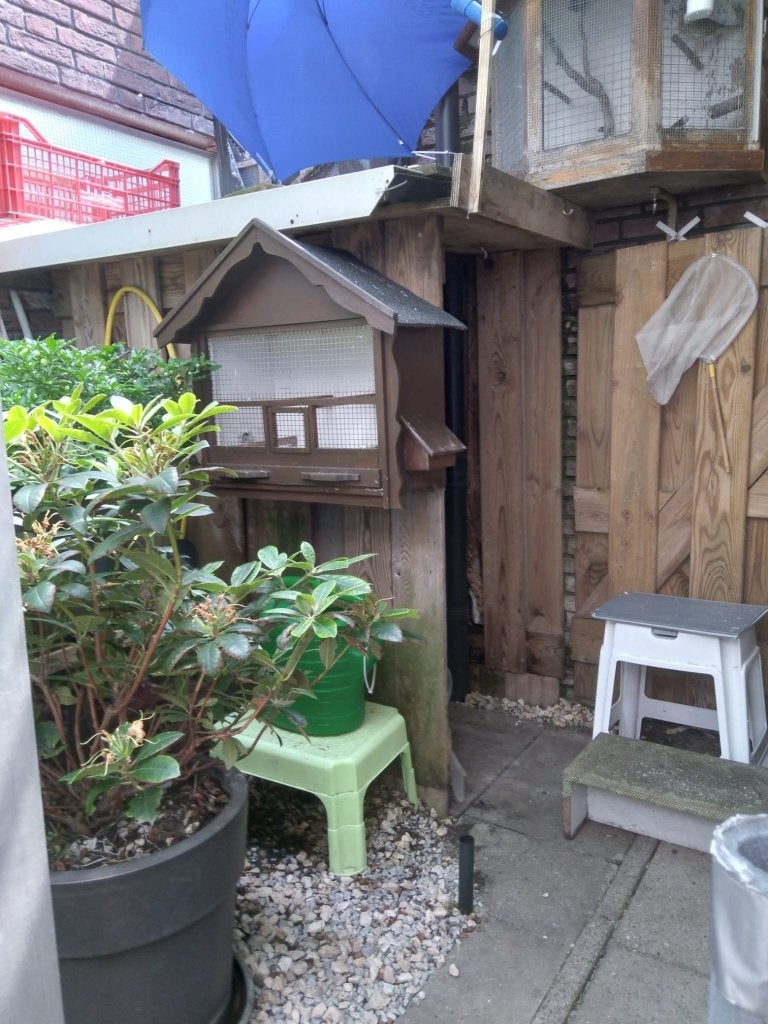 houten buiten muur vogel kooi a 15 euro, Ophalen, Gebruikt, Hout, Vogelkooi