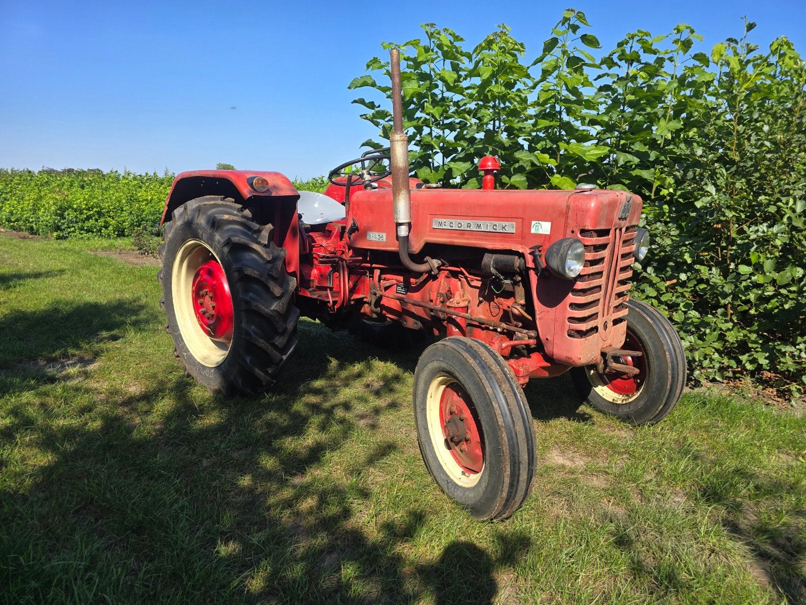 McCormick D-436 Oldtimer Tractor uit 1964, Zakelijke goederen, Agrarisch | Tractoren, Ophalen, Oldtimer, Tot 80 Pk, Tot 2500
