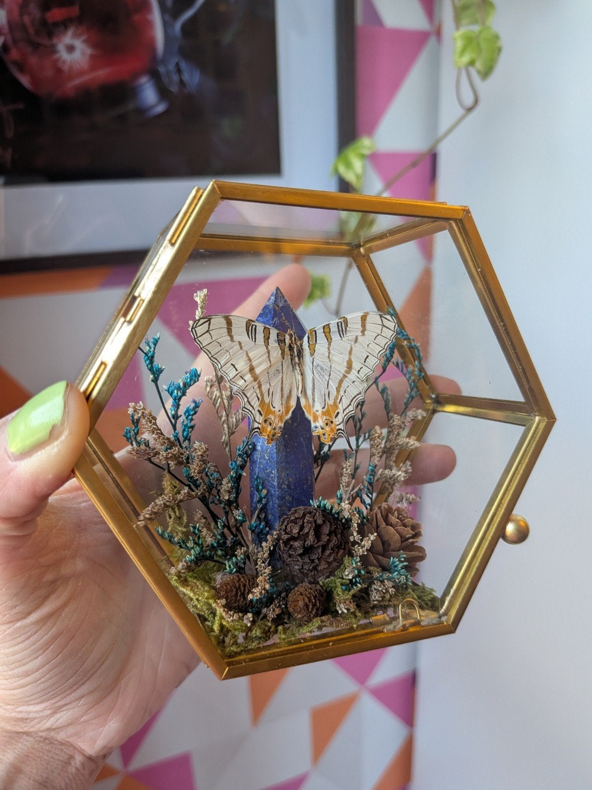 Unieke vlinder en kristal display in glazen terrarium, Verzenden, Nieuw