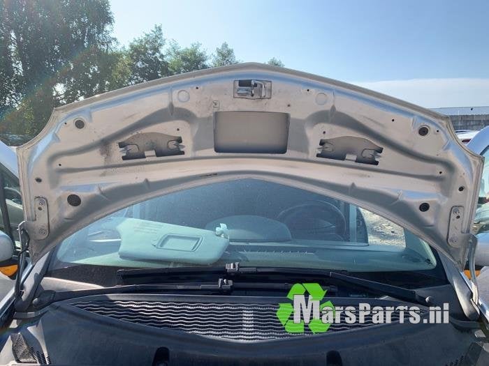 Motorkap van een Renault Modus, Auto-onderdelen, Gebruikt, -, Renault, -