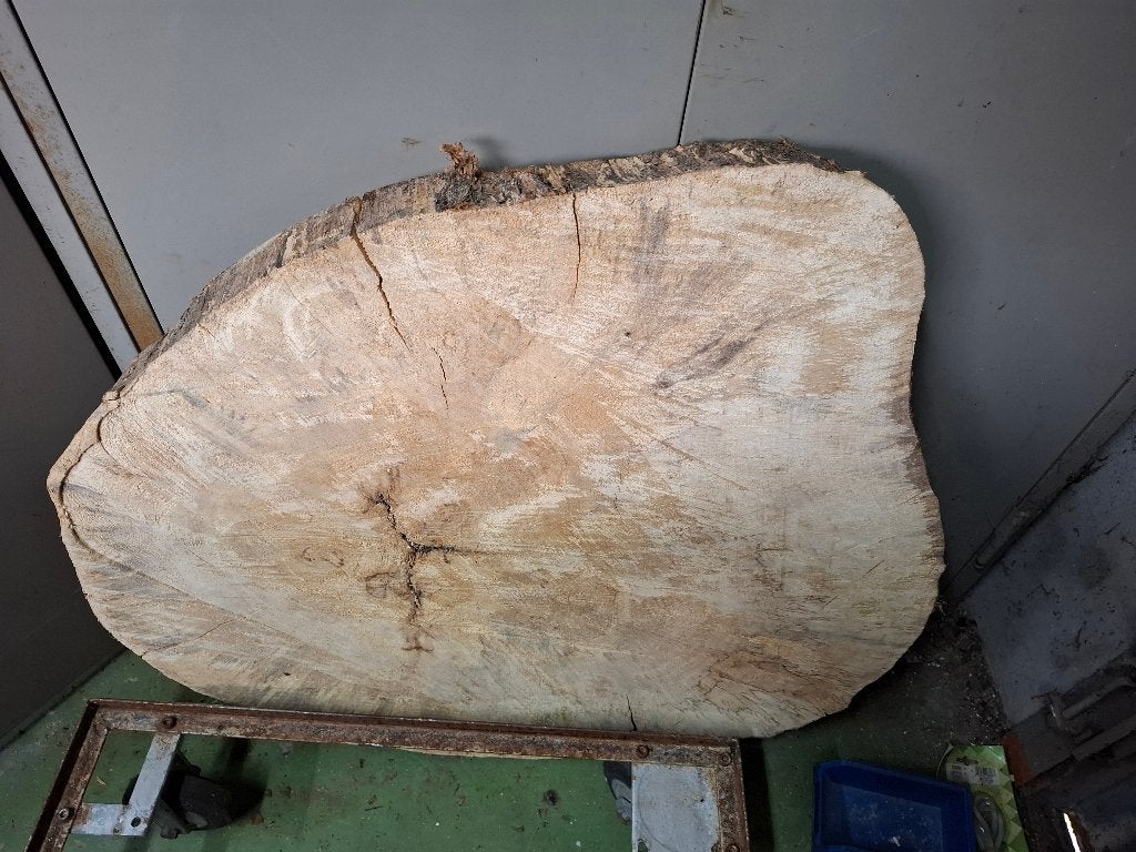 Boomstamschijf Populierenhout - Basis voor Koffietafel, Doe-het-zelf en Verbouw, Hout en Planken, Ophalen, Gebruikt, Overige typen