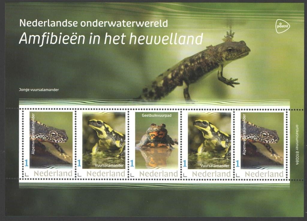Nederlandse Onderwaterwereld: Amfibieen in het heuvelland, Ophalen of Verzenden, Na 1940, Postfris