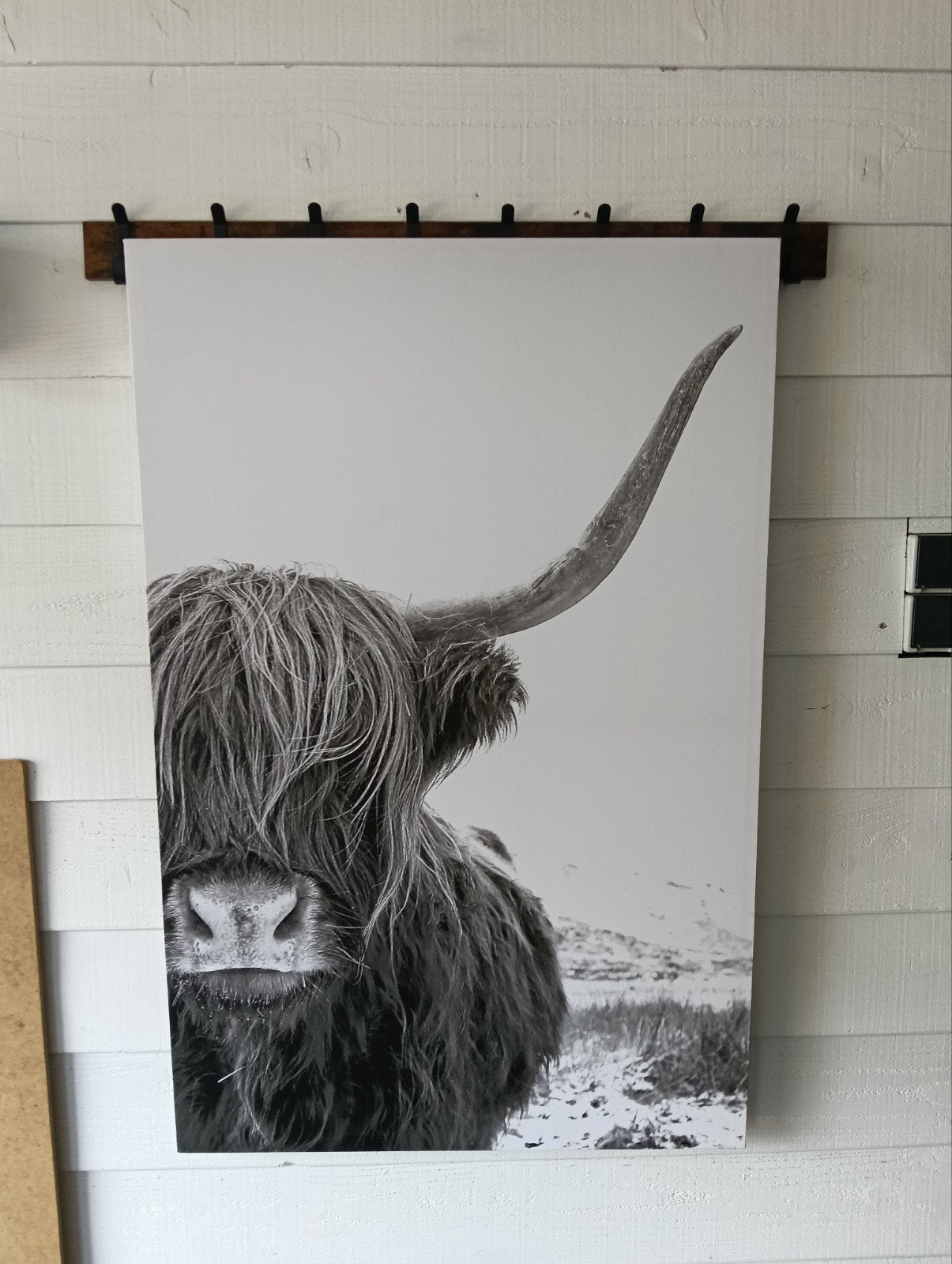 Canvas met Schotse hooglander, Huis en Inrichting, Woonaccessoires | Schilderijen, Tekeningen en Foto's, Ophalen, 75 – 100, 50 tot 75 cm