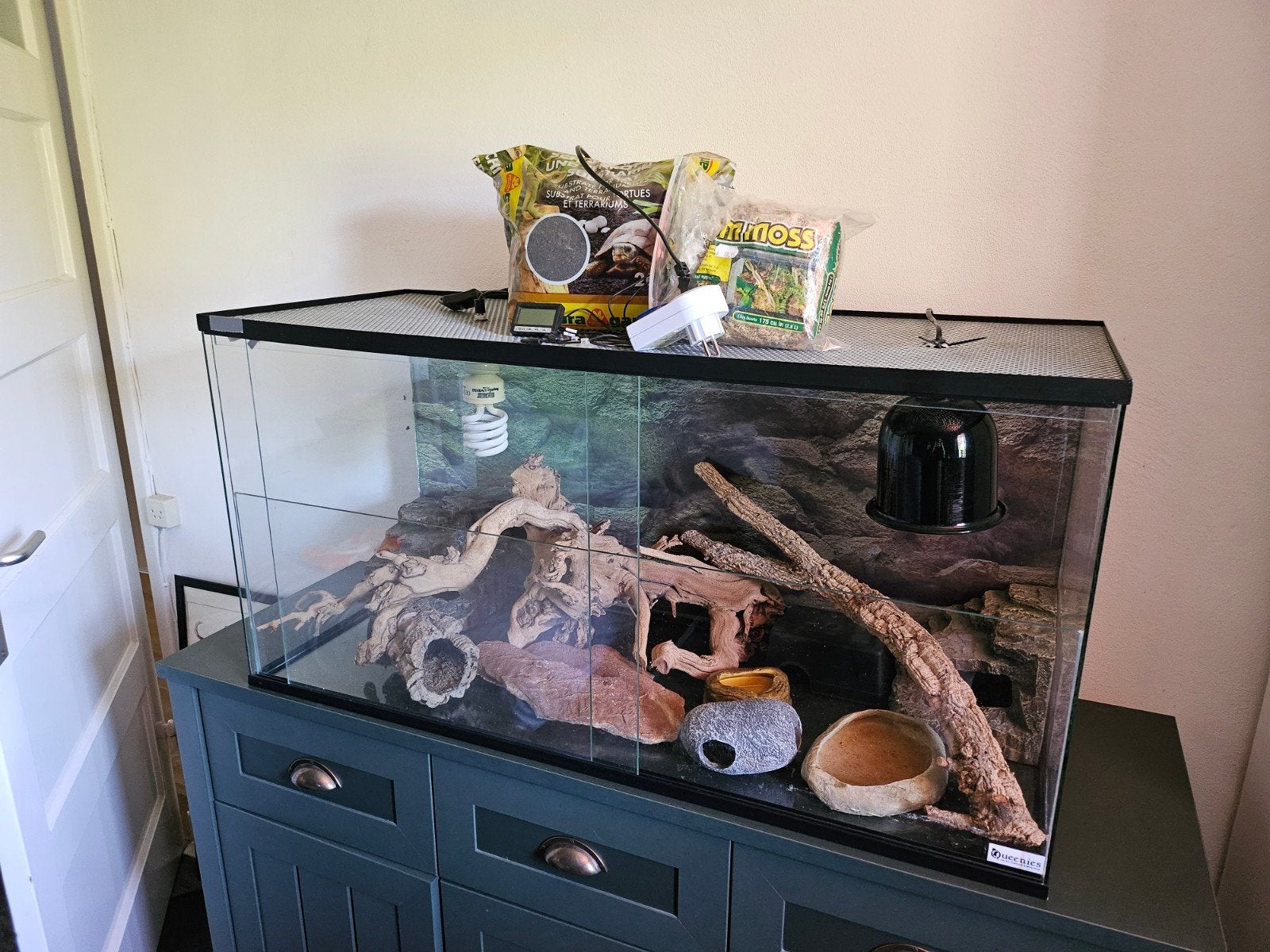 Terrarium 100x40cm, Ophalen, Gebruikt, Terrarium of Paludarium