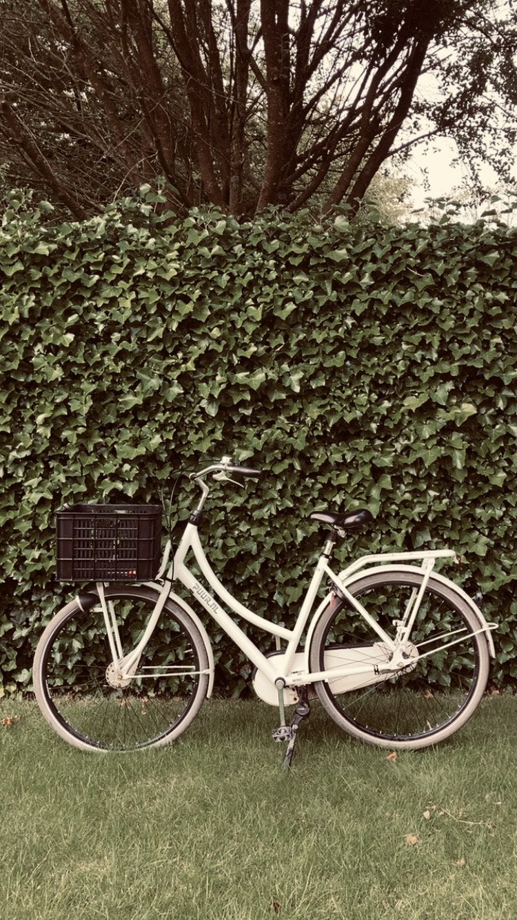 Witte dames gazelle transporter maat 54, Ophalen, Terugtraprem, Versnellingen, 53 tot 56 cm