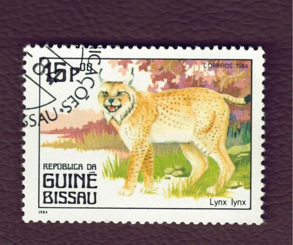 Fauna - Katachtigen - Guiné Bissau - 15p 00 - Lynx - gebr, Ophalen of Verzenden, Gestempeld, Dier of Natuur