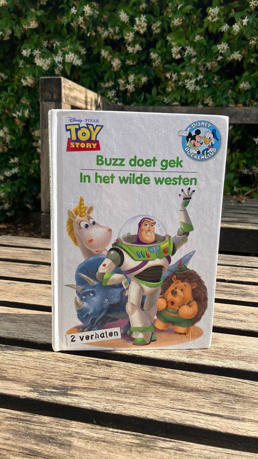 Toy Story boekje Buzz en Woody disney pixar, Ophalen of Verzenden, Gelezen, Sprookjes
