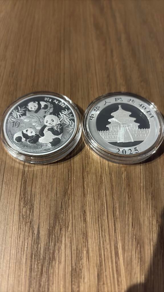 Panda 2025 zilver China zilveren munt, Ophalen of Verzenden, Zilver