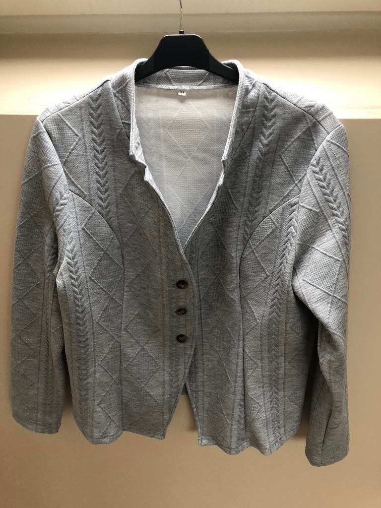 Vest jasje., Kleding | Dames, Ophalen of Verzenden, Zo goed als nieuw, Grijs