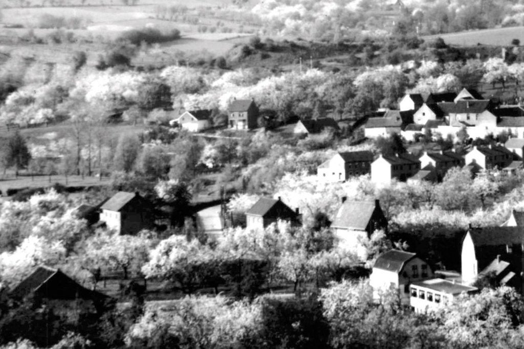 968174	Schin op Geul	bij Valkenburg	1955 Panorama	Sousberg, Ophalen of Verzenden, 1940 tot 1960, Gelopen, Limburg