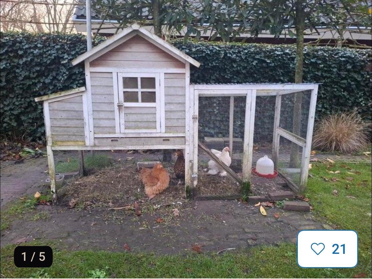Kippenhok gezocht, Dieren en Toebehoren, Pluimvee | Toebehoren, Ophalen of Verzenden, Zo goed als nieuw, Kippenhok of Kippenren