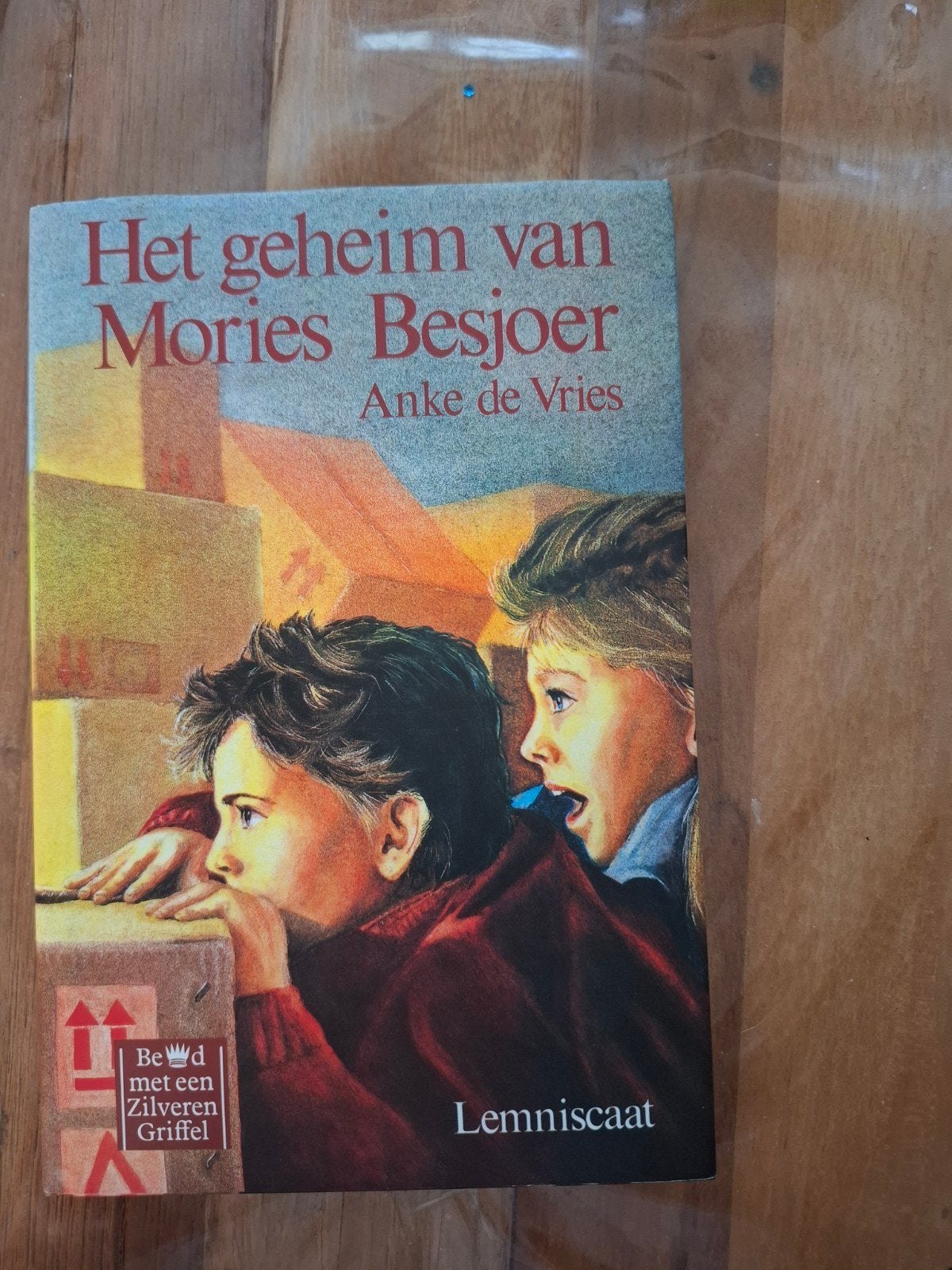 Het geheim van Mories Besjoer - Anke de Vries, Ophalen, Zo goed als nieuw, Anke de Vries, Fictie algemeen