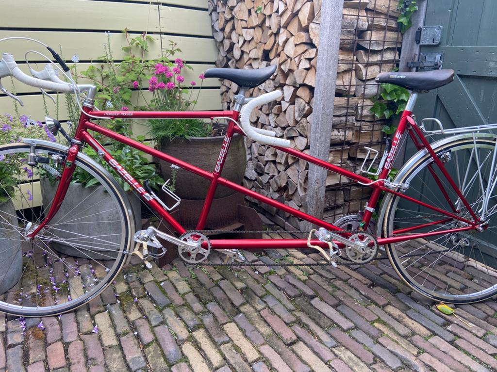 Gazelle champion mondial campagnolo vintage tandem, Ophalen, Gebruikt, Gazelle, 53 tot 57 cm