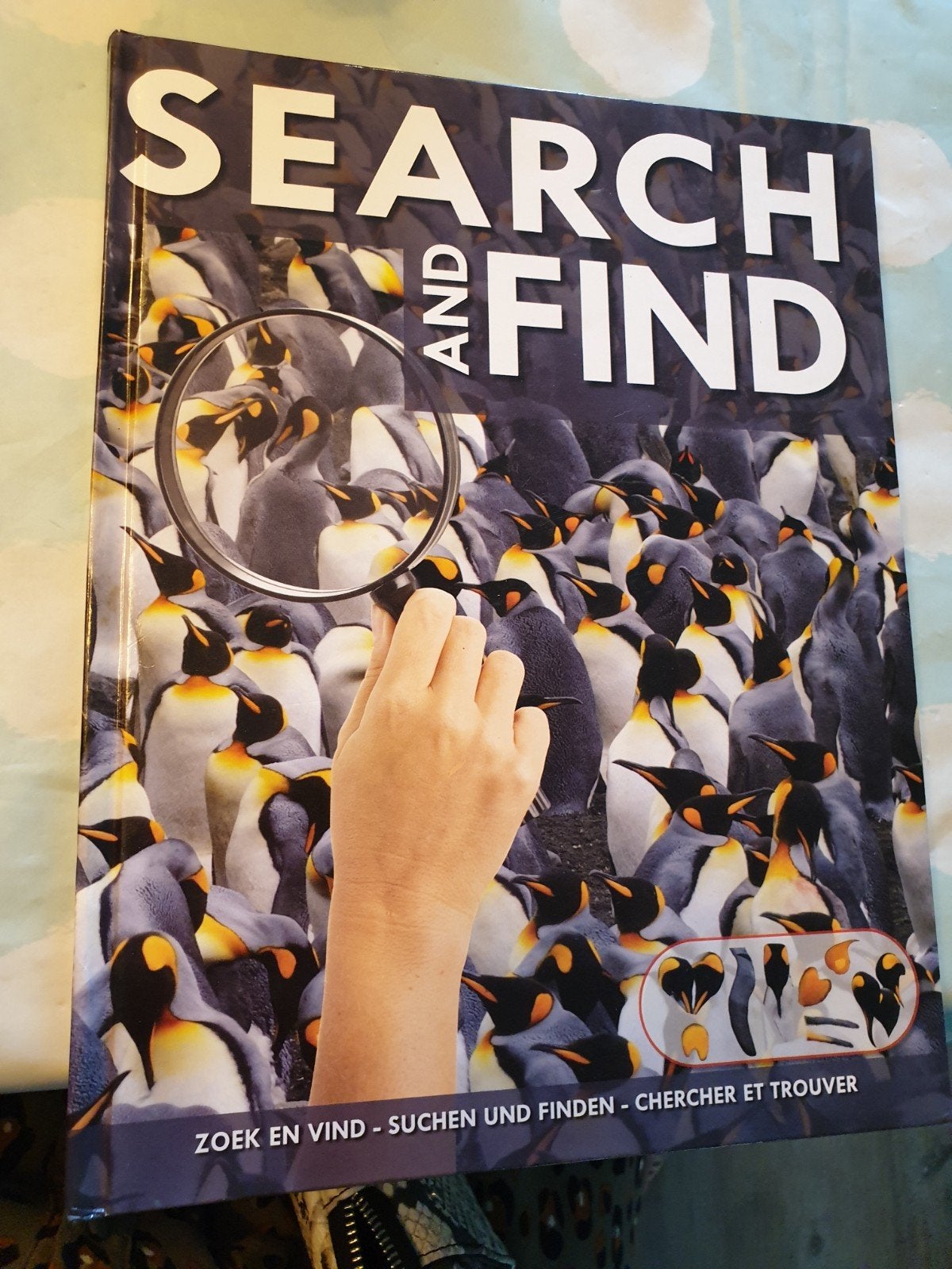 Zoek en Vind Boek: Dieren in de Natuur, Ophalen of Verzenden, Zo goed als nieuw, Natuur algemeen, Onbekend