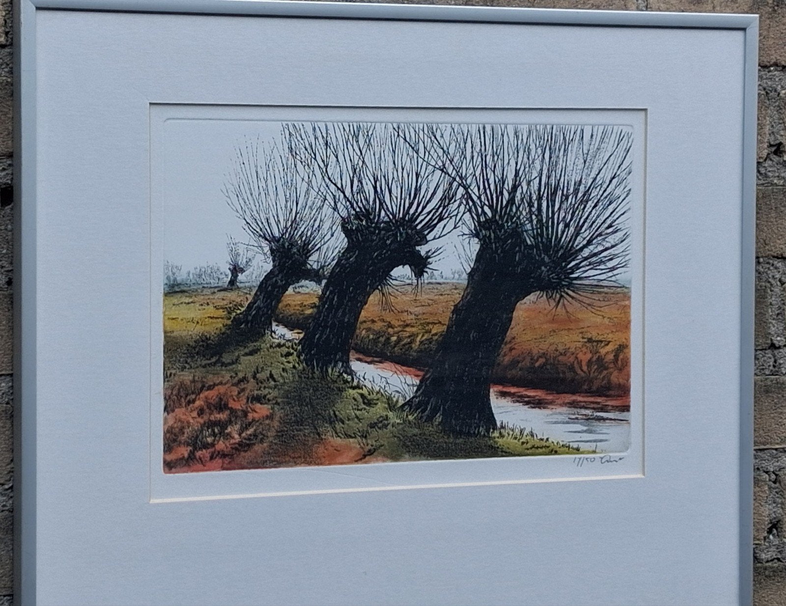 Knotwilgen. Gekleurde ets. Sign. 17/50. 51/42 cm., Ophalen, Origineel, Flora en Fauna, 1950 - 1999
