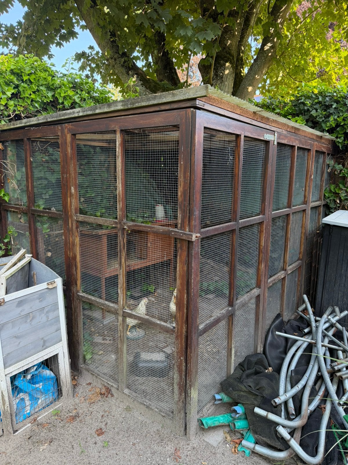 Gratis: 8 houten panelen voor een dierenhok, Dieren en Toebehoren, Vogels | Hokken en Kooien, Ophalen, Zo goed als nieuw, Hout