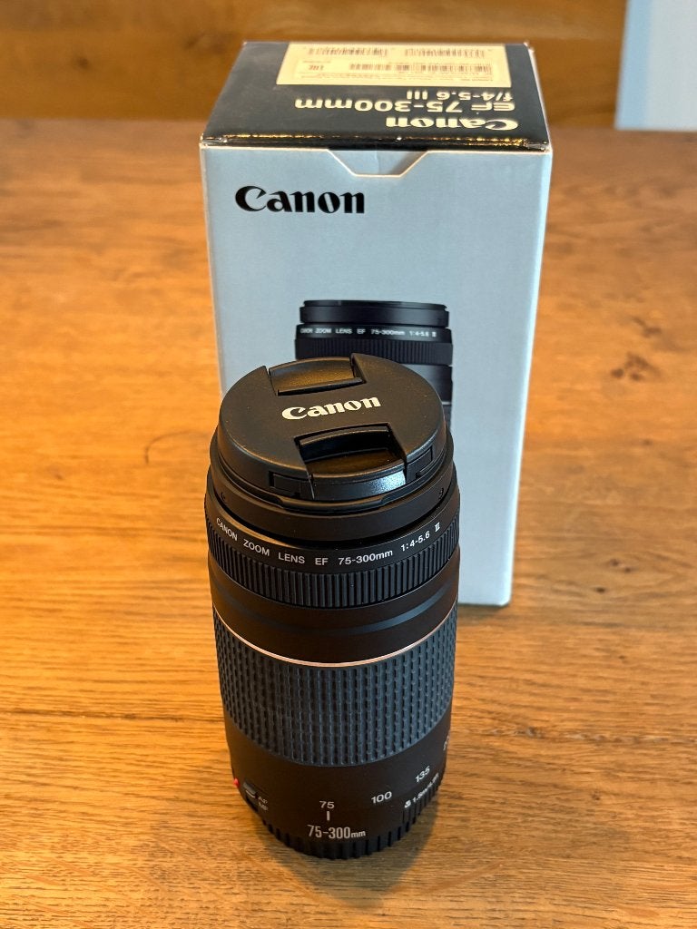 Canon EF 75-300mm lens incl doos, Audio, Tv en Foto, Fotografie | Lenzen en Objectieven, Ophalen of Verzenden, Zo goed als nieuw