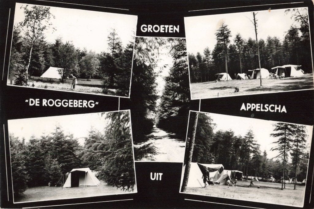 Appelscha Camping De Roggeberg L2840, Ophalen, 1960 tot 1980, Gelopen, Friesland