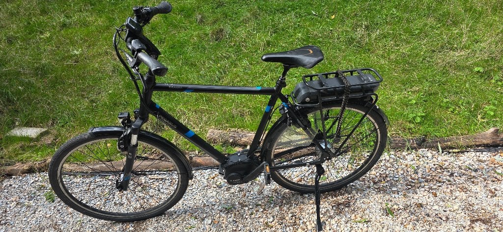 Pegasus heren electrische fiets, 59 cm of meer, Ophalen, 50 km per accu of meer, Overige merken