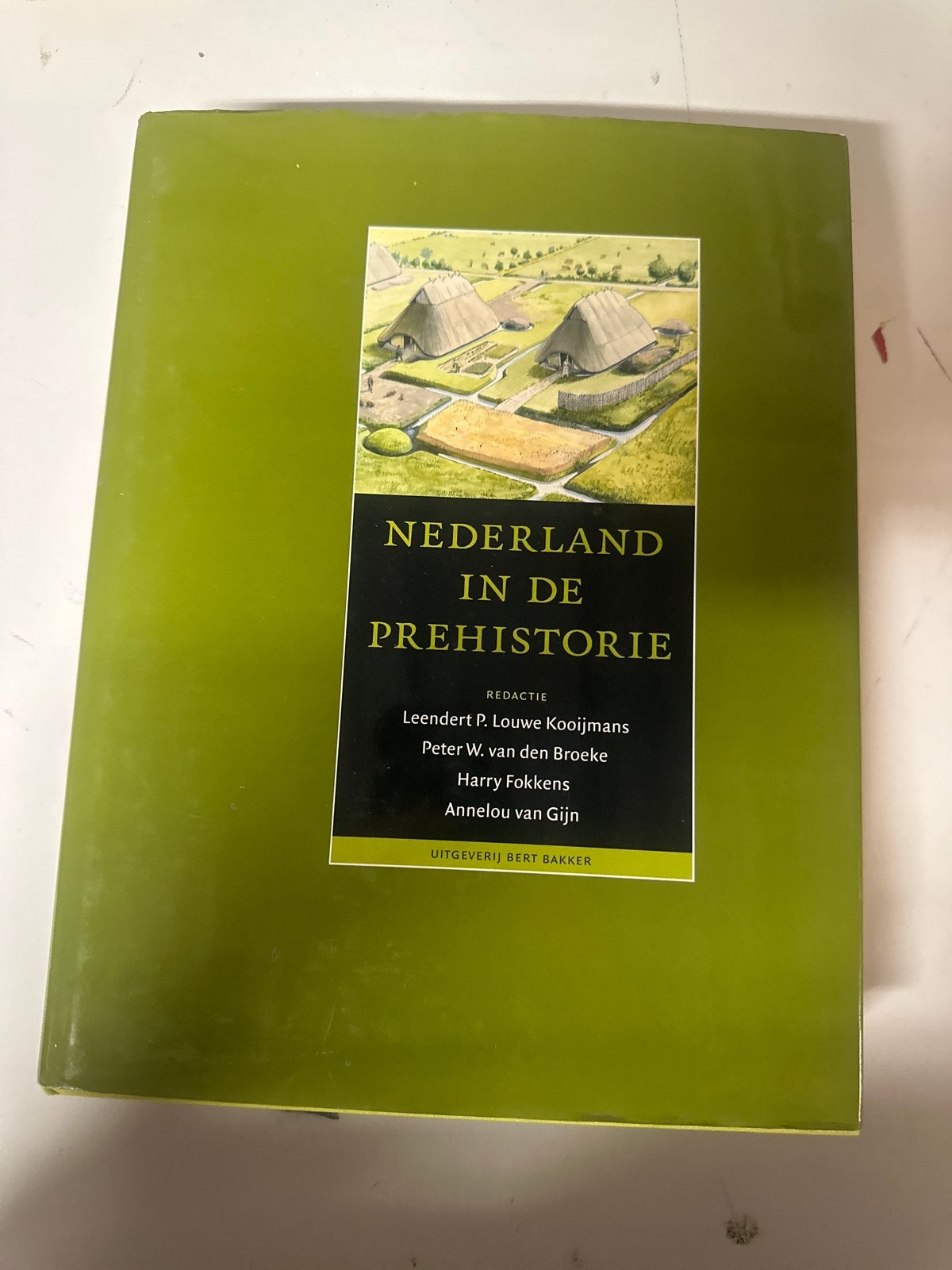 Nederland in de Prehistorie - Archeologie Boek, Ophalen of Verzenden, 20e eeuw of later, Zo goed als nieuw