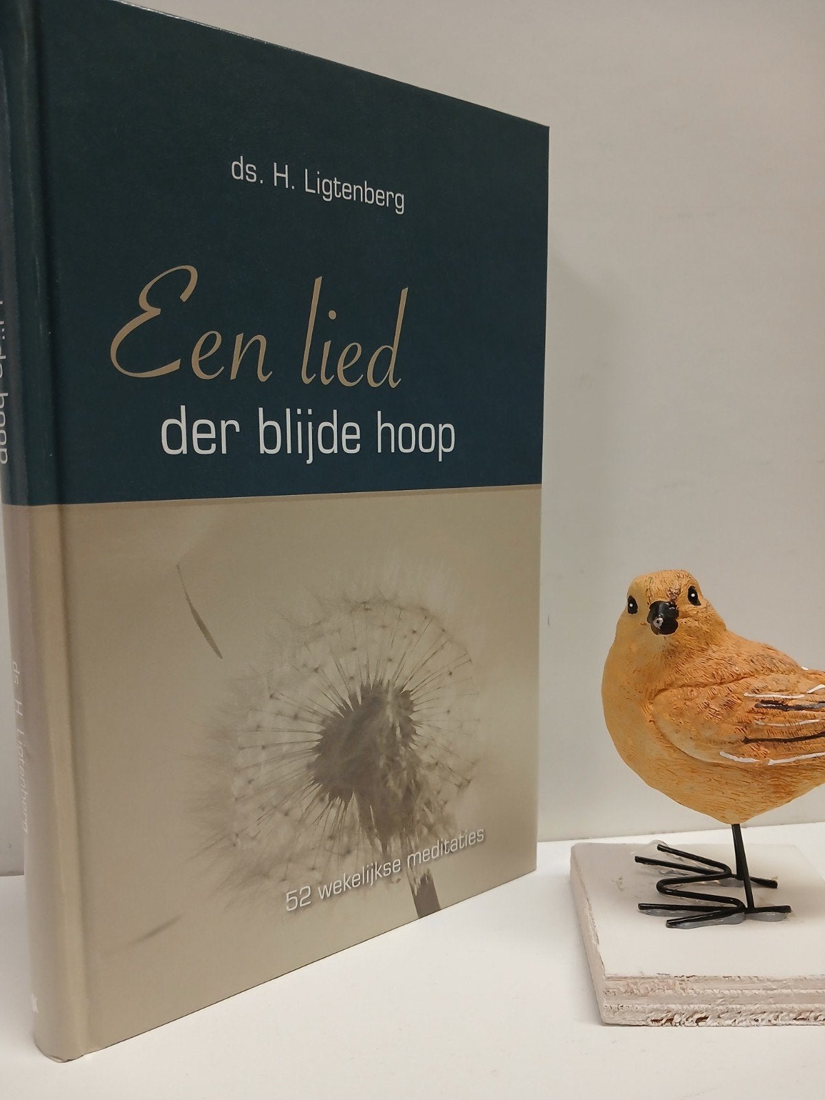 Ligtenberg, Ds. H.; Een lied der blijde hoop, Ophalen of Verzenden, Gelezen, Christendom | Protestants