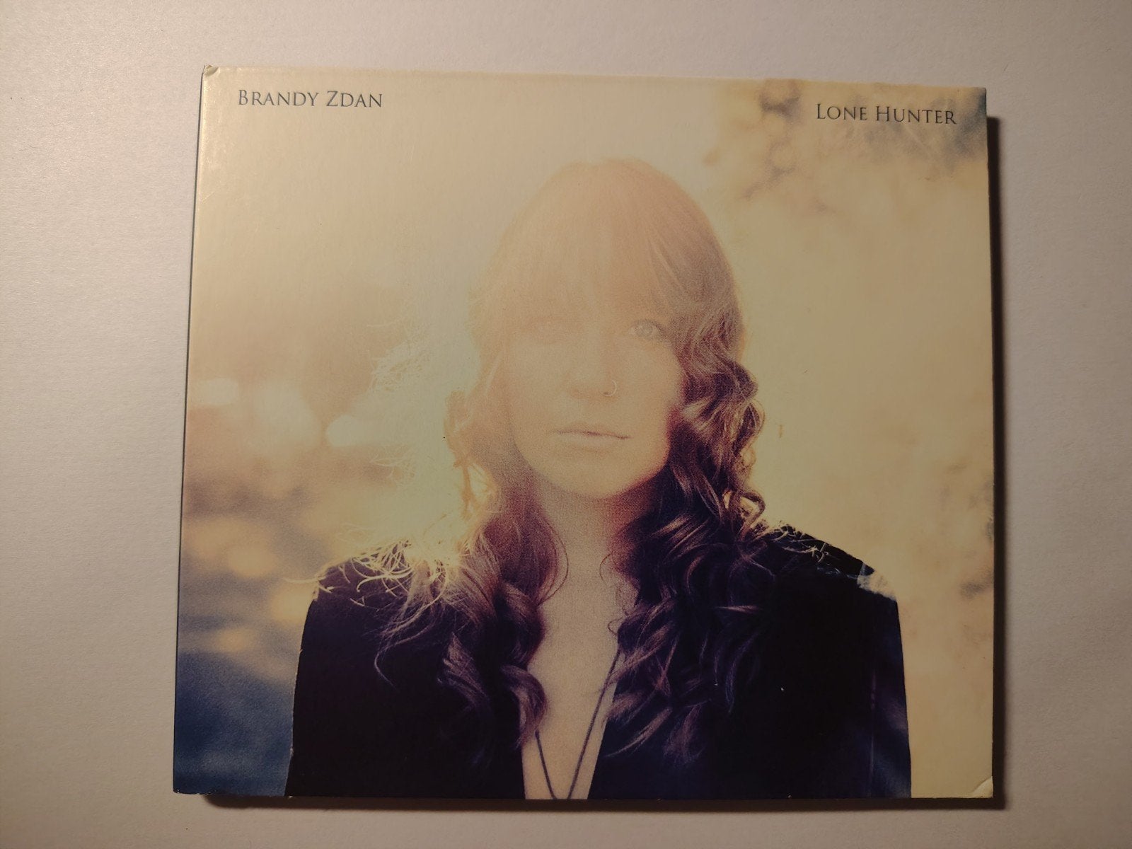Brandy Zdan - Lone Hunter CD, Ophalen of Verzenden, Zo goed als nieuw, Poprock