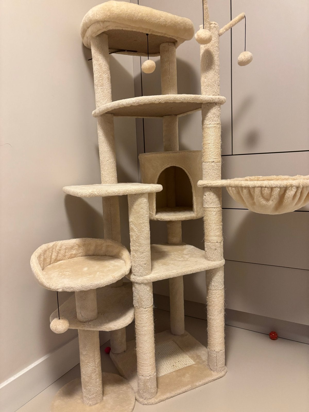 Kattenkrabpaal, Ophalen, Gebruikt, Krabpaal