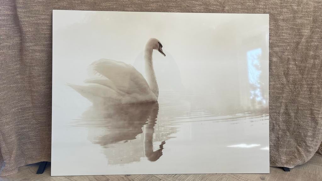 Prachtig Romantisch Zwaan Schilderij op Epoxy - Nieuw, Antiek en Kunst, Kunst | Schilderijen | Klassiek, Ophalen of Verzenden