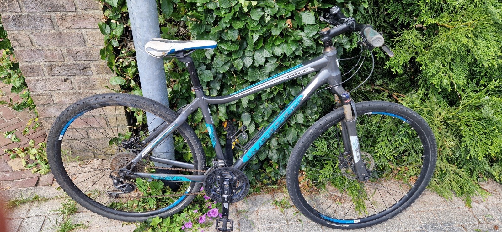 Giant Liv Rove 0 - Damesfiets, Ophalen, Gebruikt, Hardtail, 49 tot 53 cm