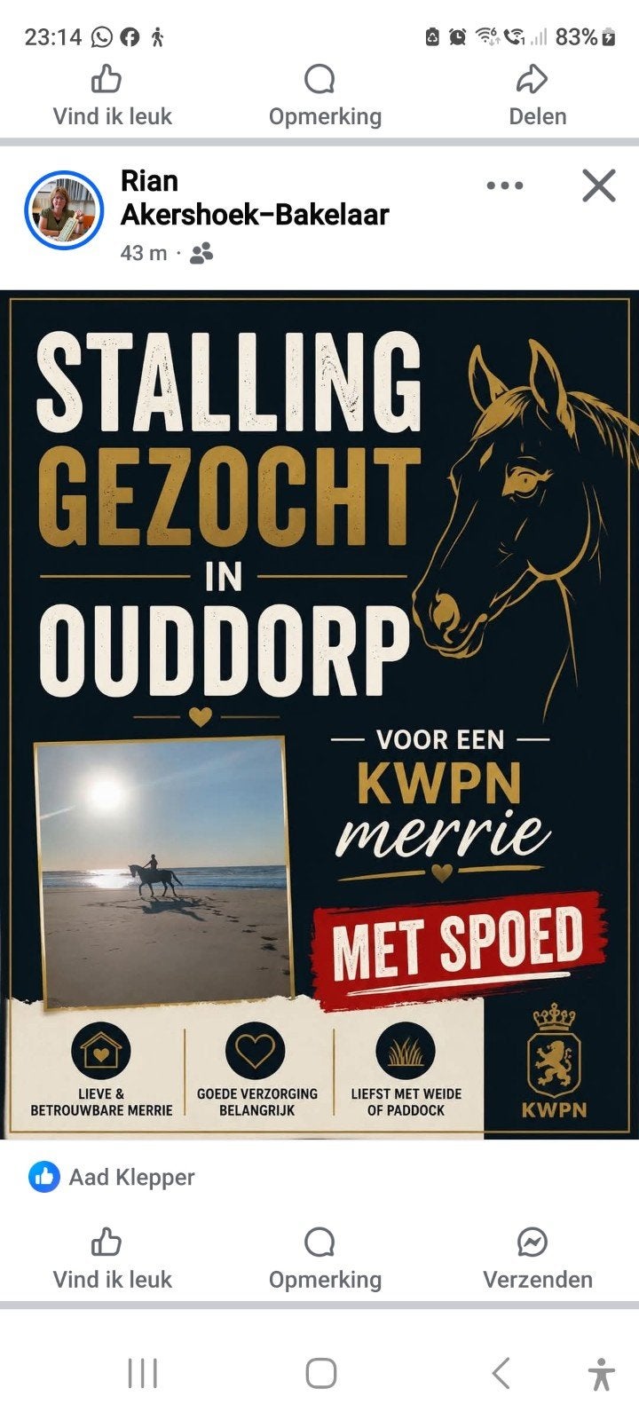 wei gezocht, Weidegang, 1 paard of pony