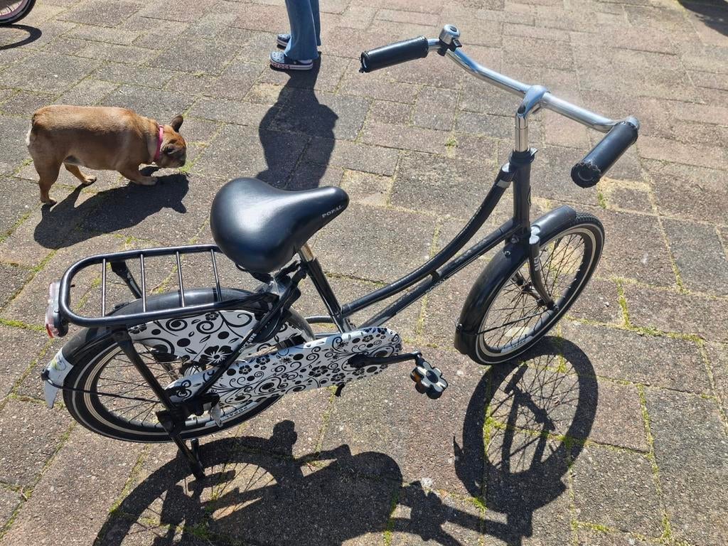 Popal Daily Dutch Basic 20 inch meisjesfiets, Terugtraprem, Gebruikt, Minder dan 47 cm, Ophalen