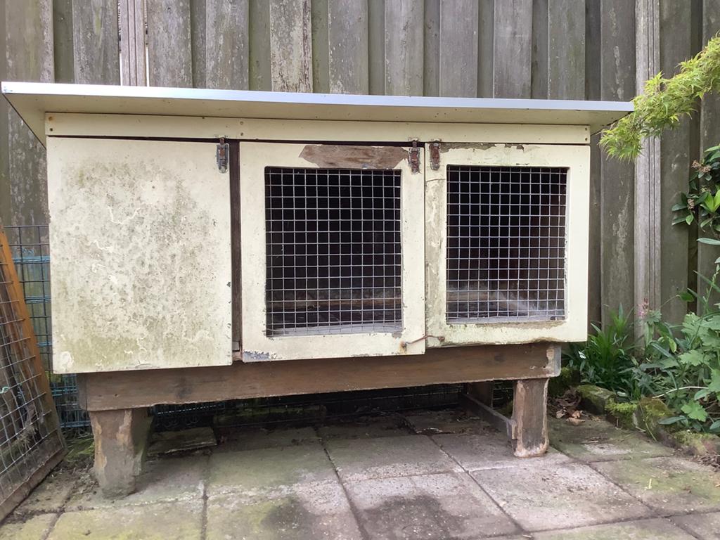 GRATIS Ruim konijnenhok opknapper, Dieren en Toebehoren, Knaagdieren en Konijnen | Hokken en Kooien, Gebruikt, Hok, 60 tot 90 cm