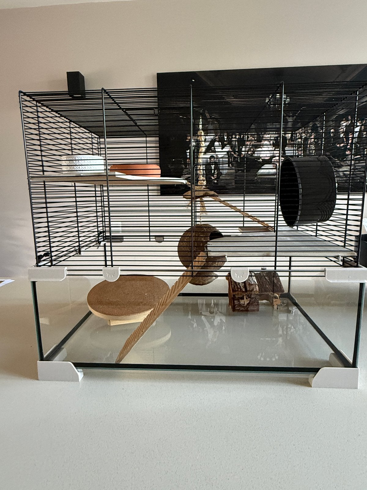 Ferplast Hamsterhok glas groot 60x52x39, Minder dan 75 cm, Zo goed als nieuw, Ophalen, Minder dan 60 cm