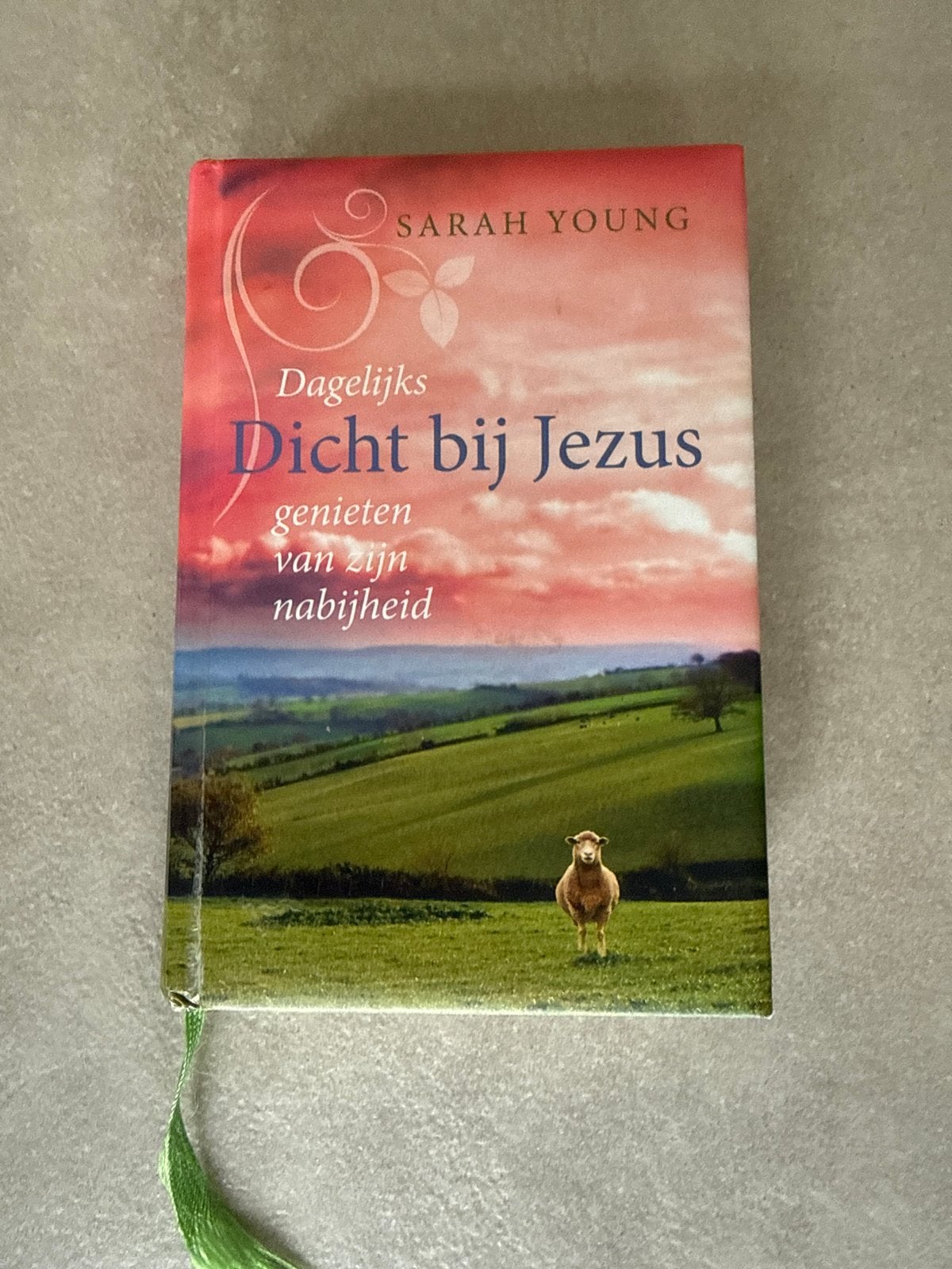 Dagelijks Dicht bij Jezus - Sarah Young, Boeken, Ophalen of Verzenden, Zo goed als nieuw, Christendom | Protestants