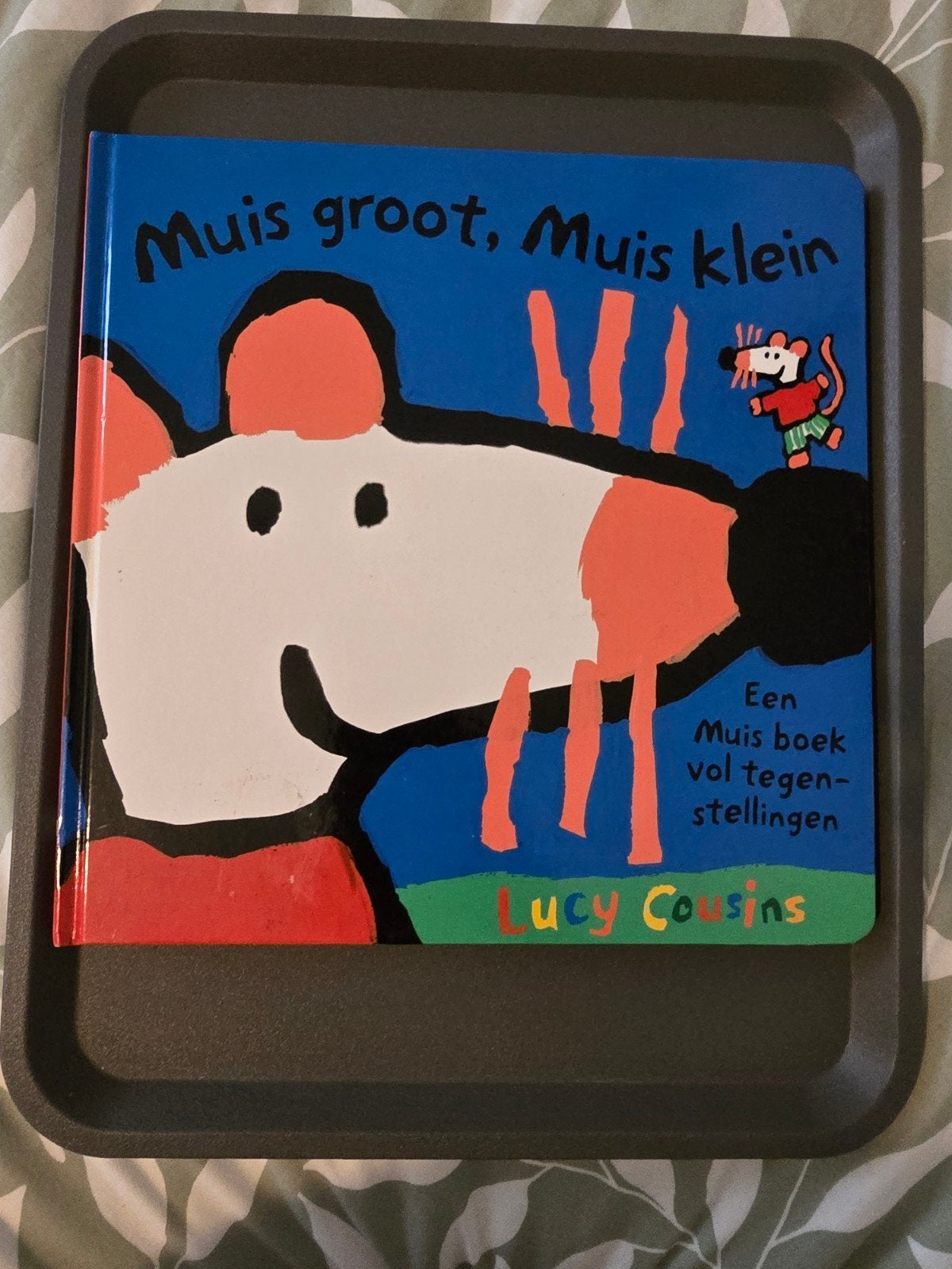 Lucy Cousins - Muis groot, Muis klein, Ophalen of Verzenden, Zo goed als nieuw, Lucy Cousins