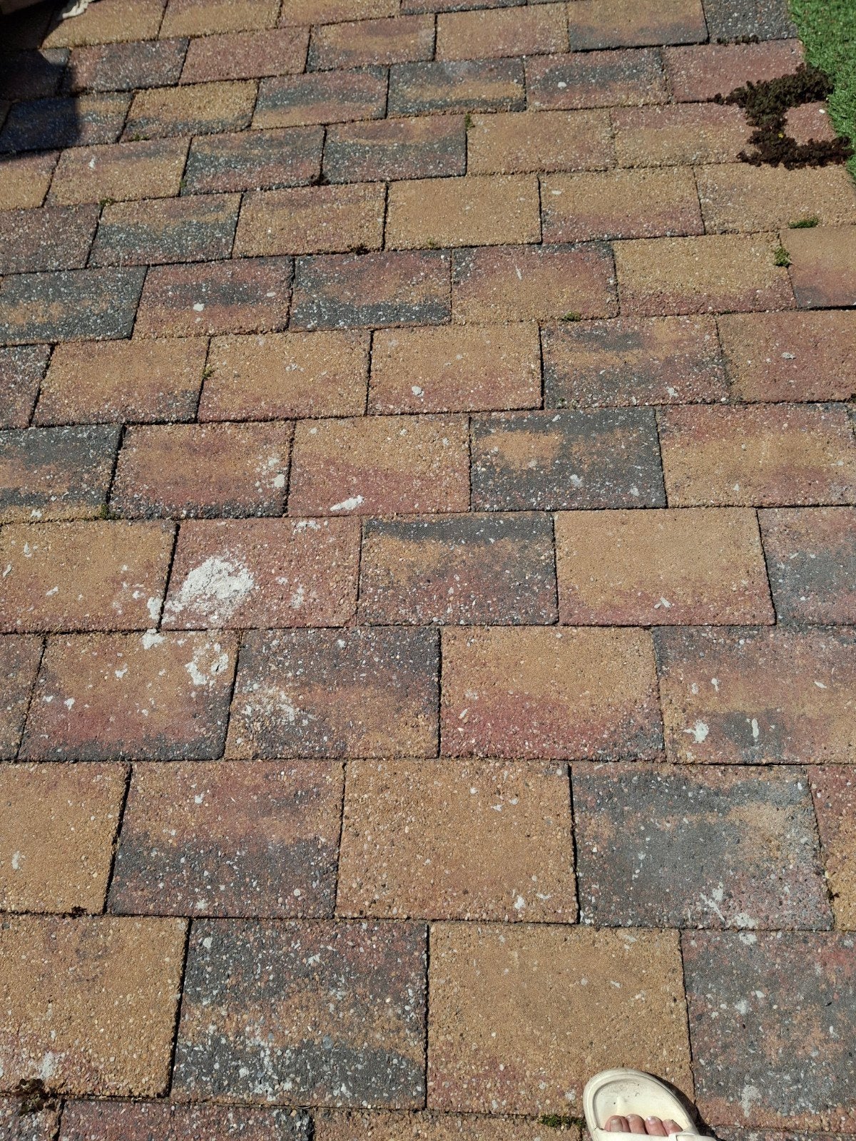 sierbestraating, Ophalen of Verzenden, Beton, Terrastegels