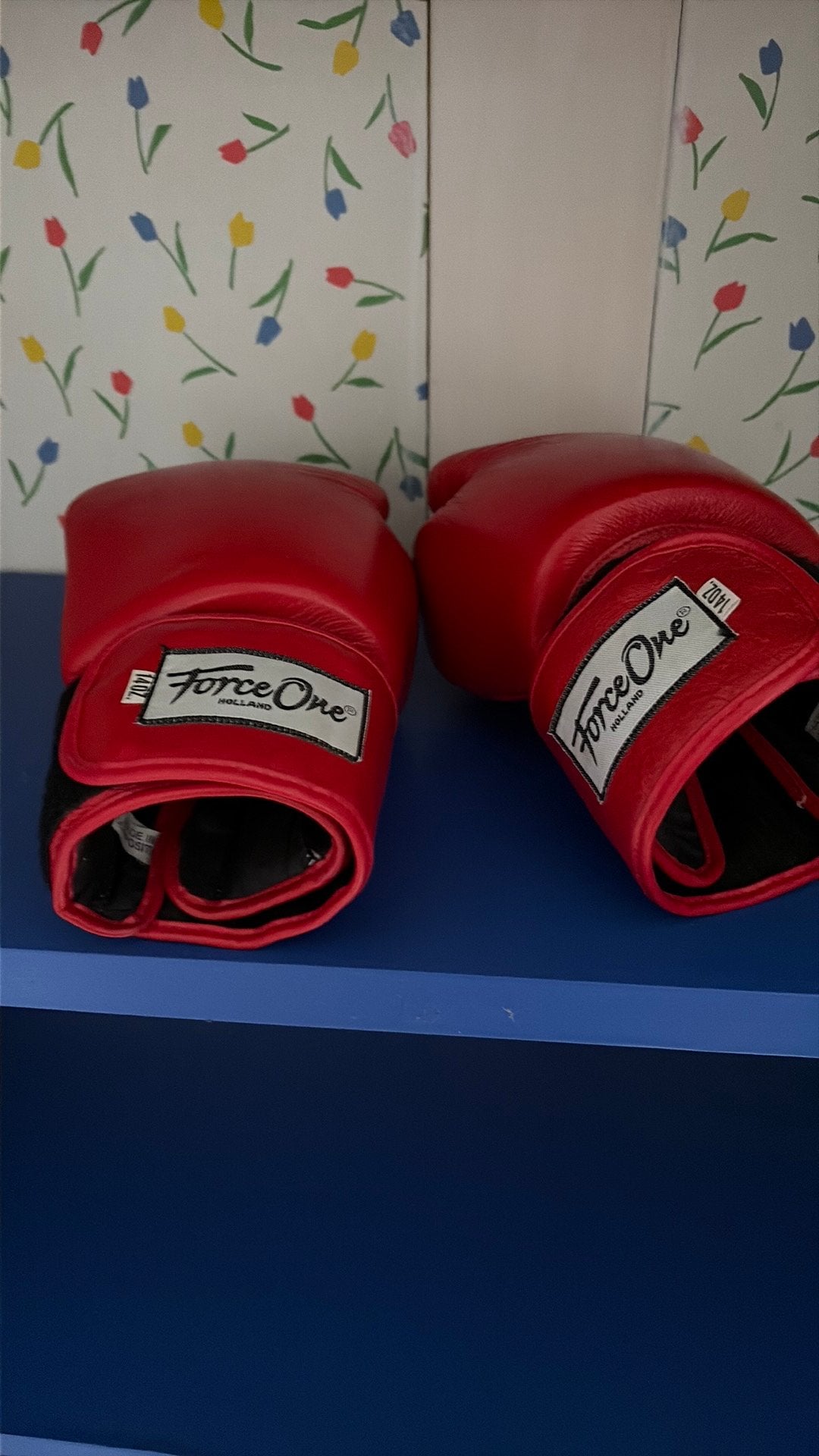 Boxhandschoenen, Maat XL, Ophalen, Zo goed als nieuw, Overige