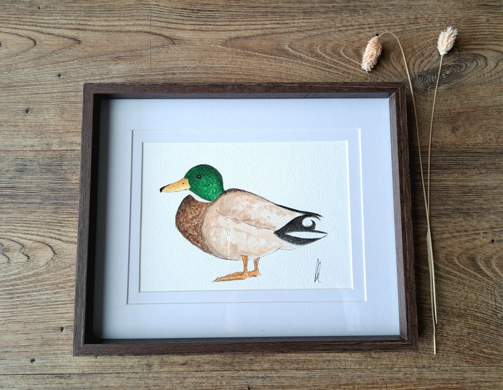 Aquarel schilderij woerd eend origineel | Inclusief lijst, Minder dan 50 cm, Oorspronkelijke maker, Nieuw, Ophalen of Verzenden