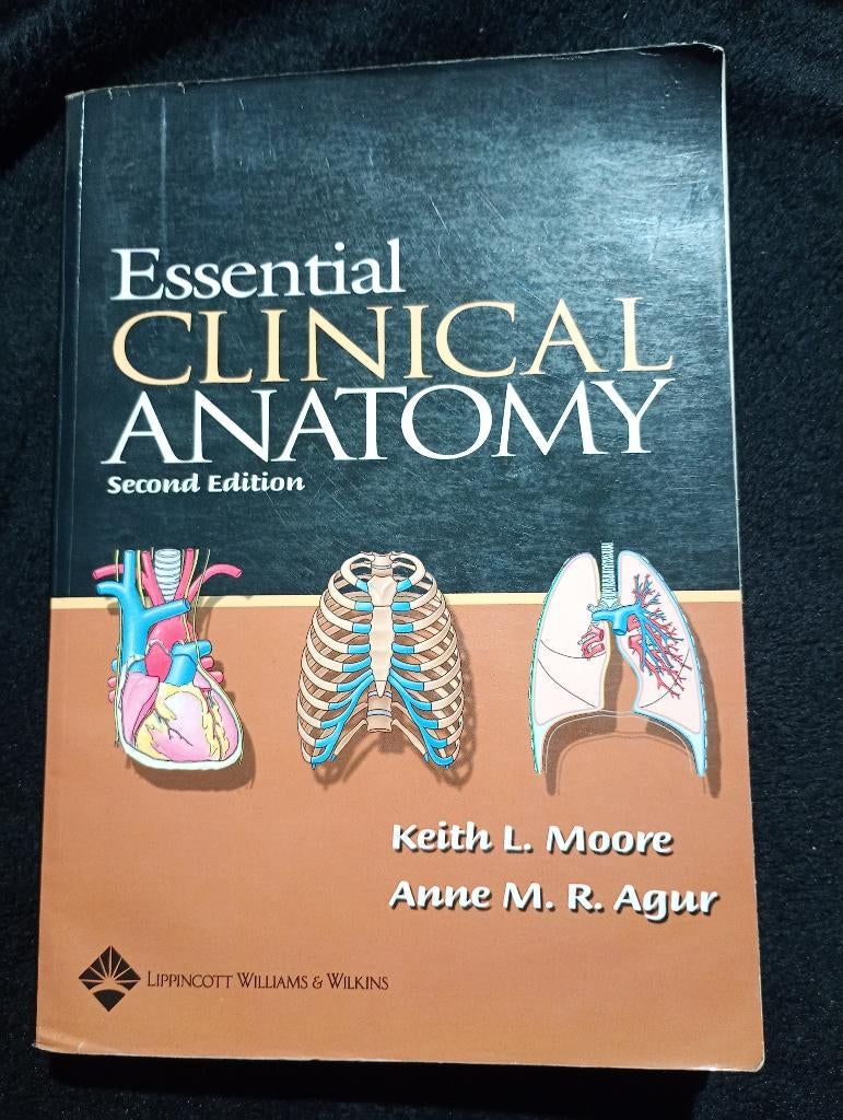 Moore e.a., Essential Clinical Anatomy, Ophalen of Verzenden, Beta, Gelezen, WO