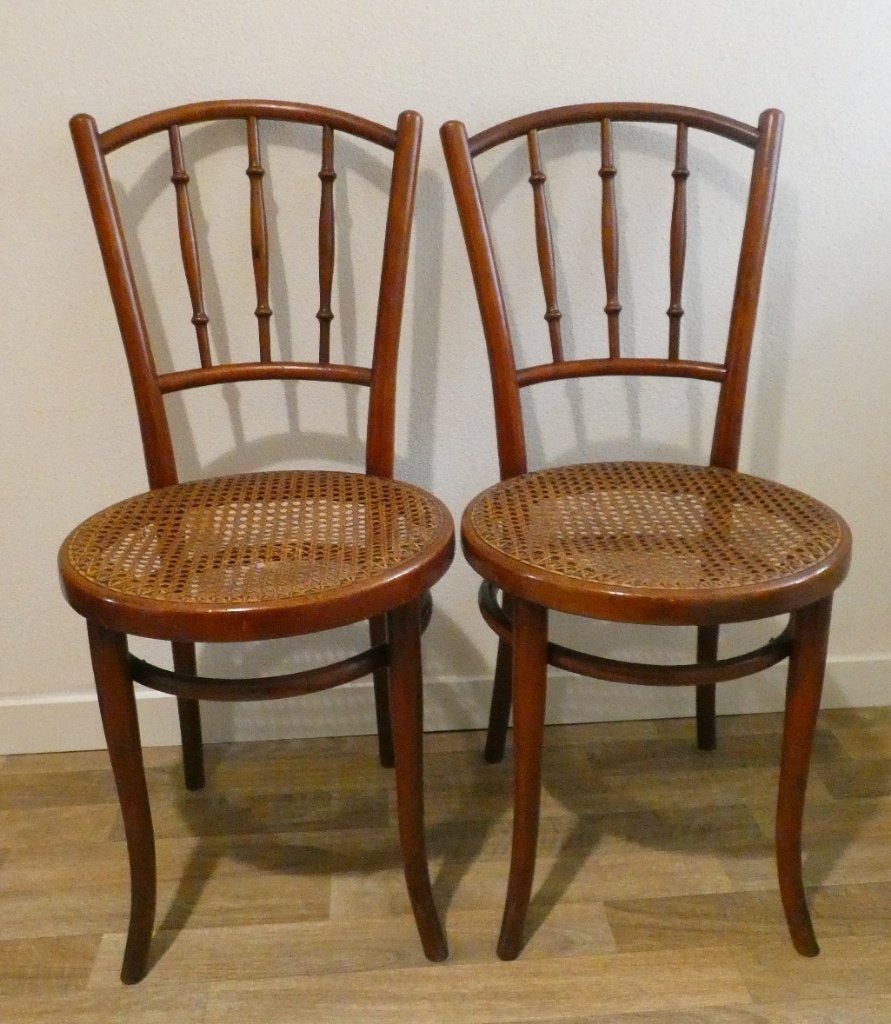 Set van 2 Thonet stoelen met rotan zitting [1294], Ophalen