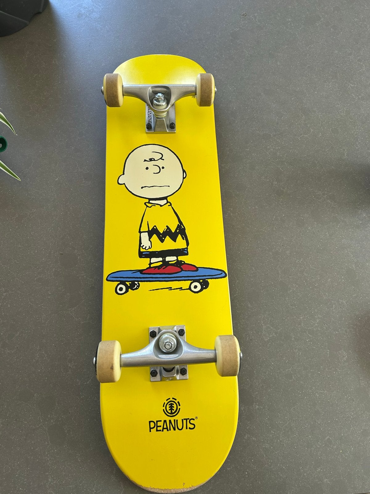 Element Skateboard Peanuts Charlie 7.75 Complete, Sport en Fitness, Skateboarden, Ophalen, Zo goed als nieuw, Skateboard