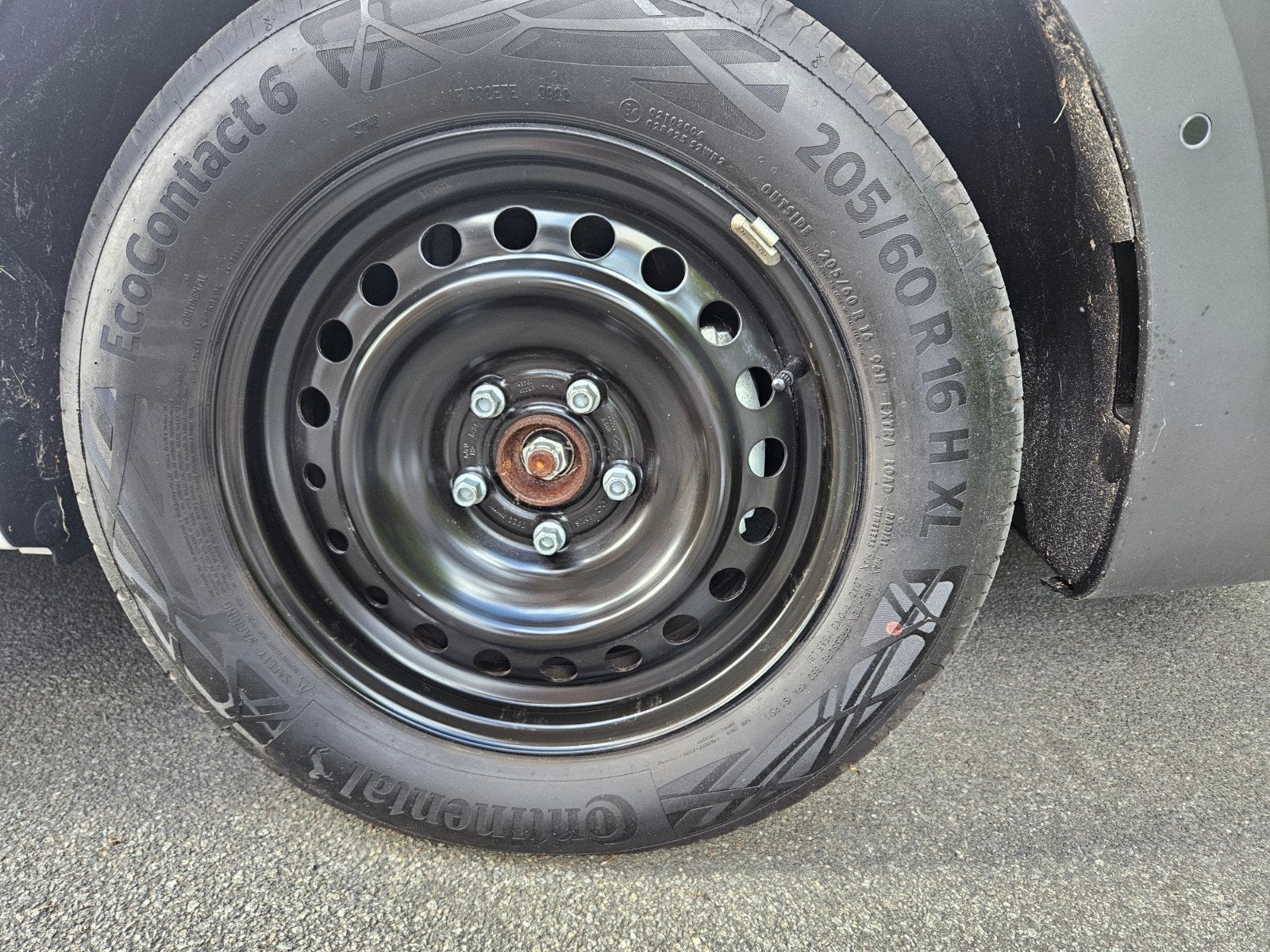 Continental EcoContact 6 zomerbanden met stalen velgen, 16 inch, Banden en Velgen, Nieuw, 205 mm